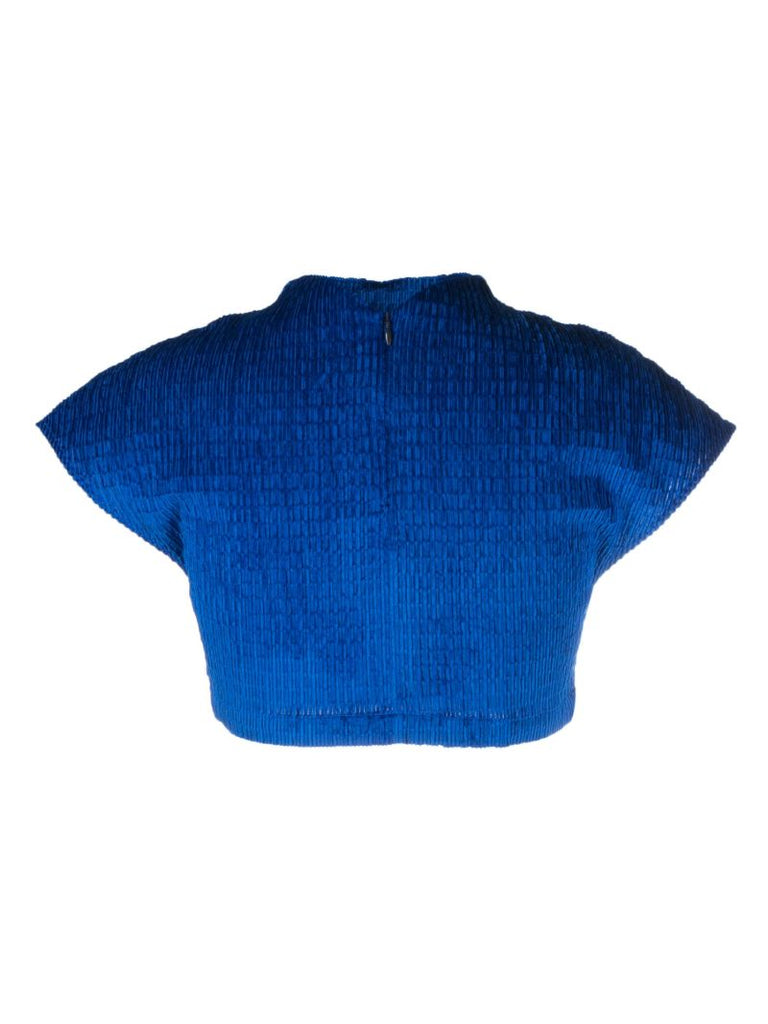 Blue Alina Velvet Crop Top