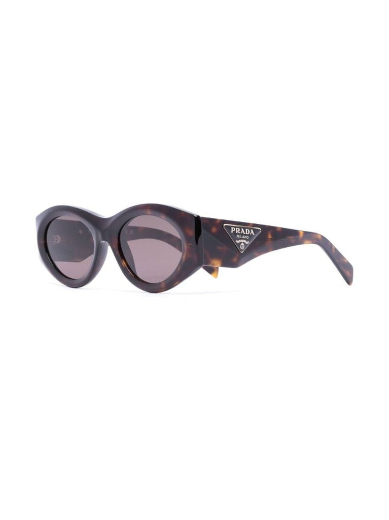 Brown Tortoise Oval Temple Sunglasses