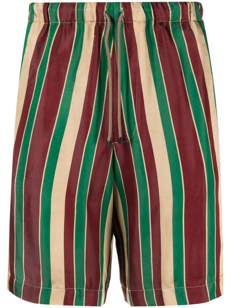 Multicolour Striped Bermuda Shorts