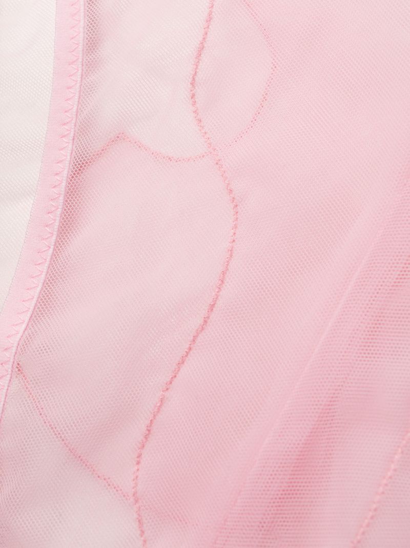 Pink Eclipse Mesh Briefs
