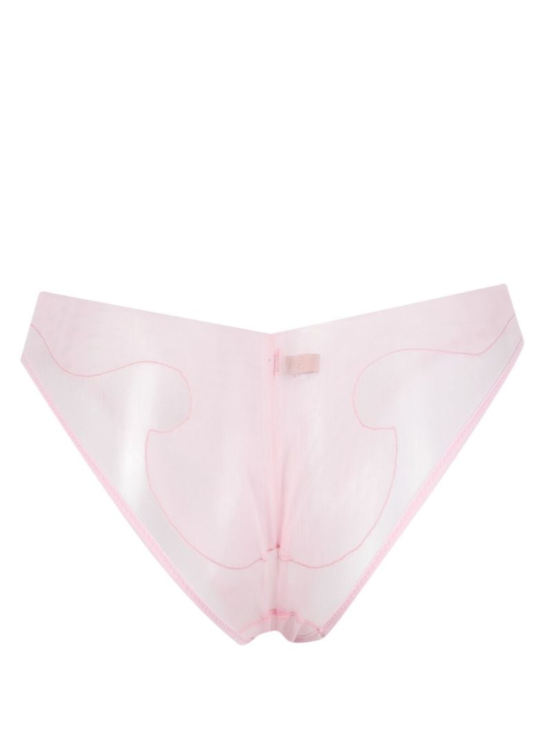 Pink Eclipse Mesh Briefs