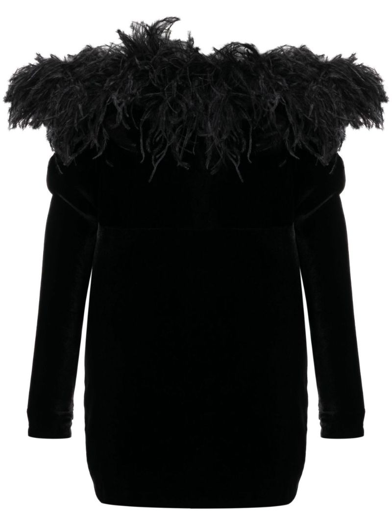 Black Feather-trim Velvet Mini Dress