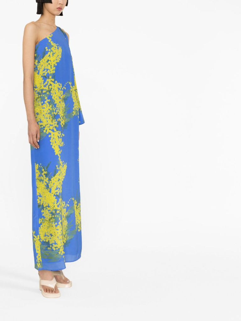 Blue Lola Floral Print Maxi Dress