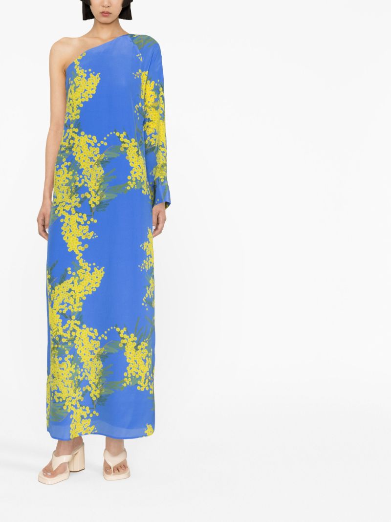 Blue Lola Floral Print Maxi Dress