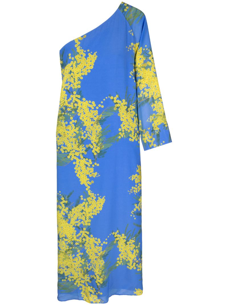 Blue Lola Floral Print Maxi Dress
