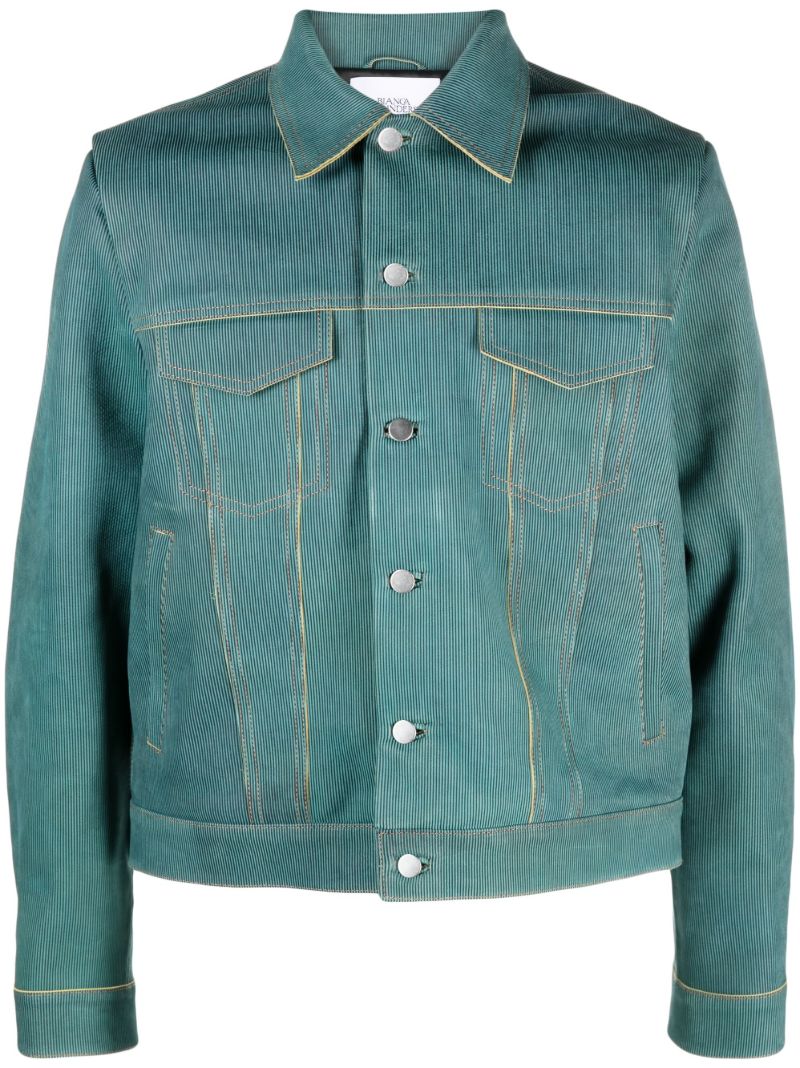 Blue Larda Striped Leather Jacket