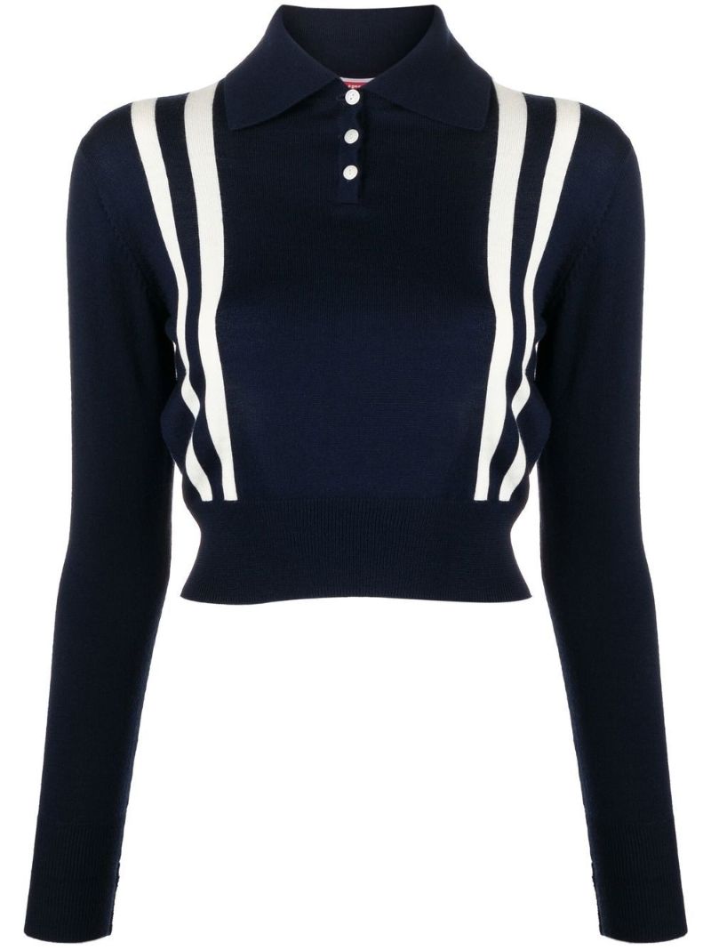 Blue Long-sleeve Knit Polo Sweater
