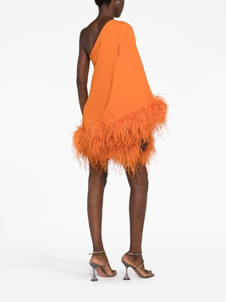 Orange Tina Feather-trim Mini Dress
