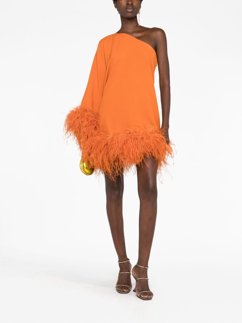 Orange Tina Feather-trim Mini Dress