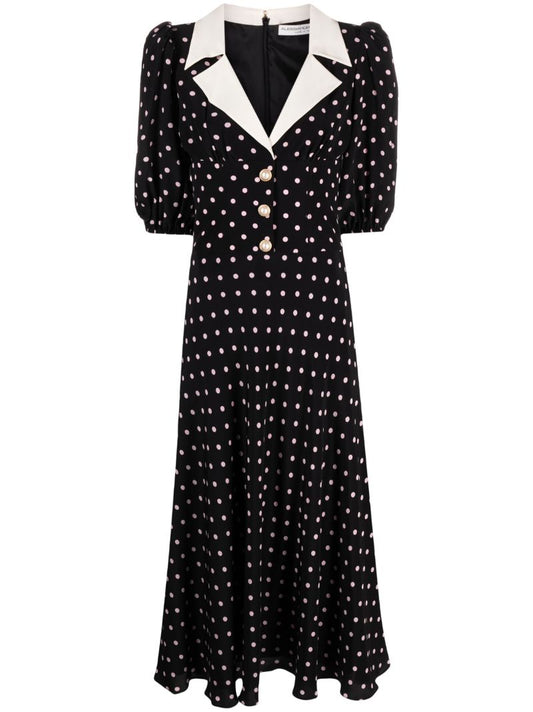 Black Polka-dot A-line Dress