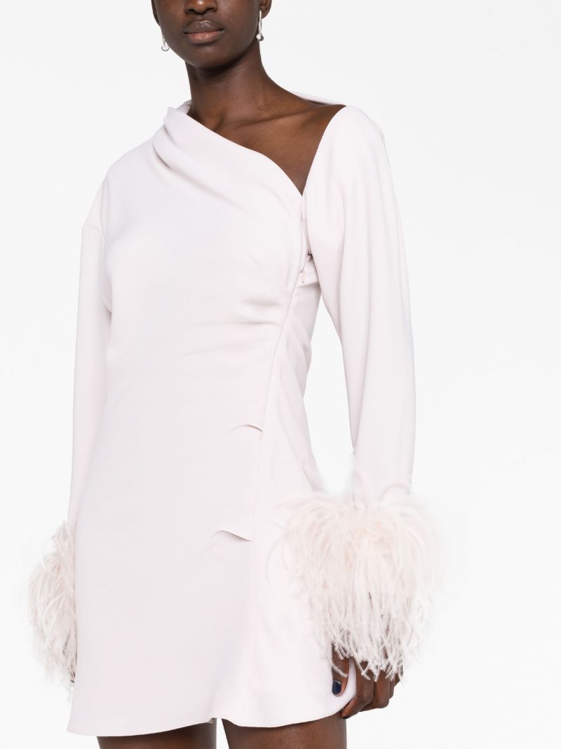 Pink Adelaide Feather Trim Mini Dress