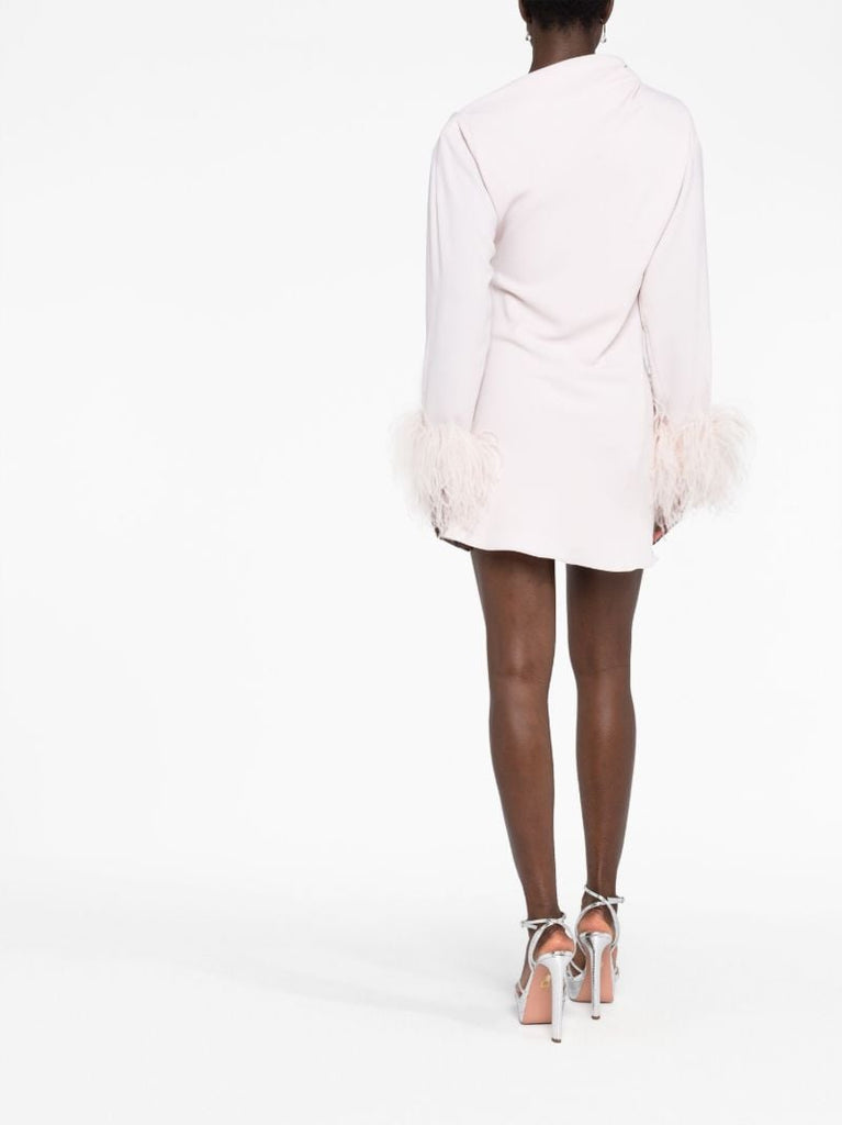 Pink Adelaide Feather Trim Mini Dress