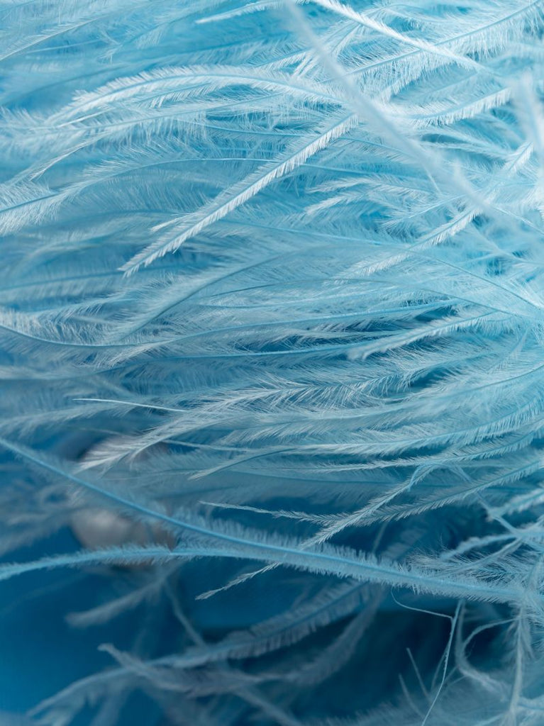 Blue Party Feather Trim Pyjamas