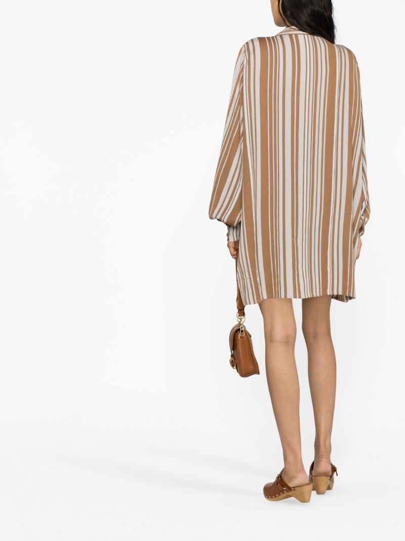 Brown Golnar Tunic Mini Dress