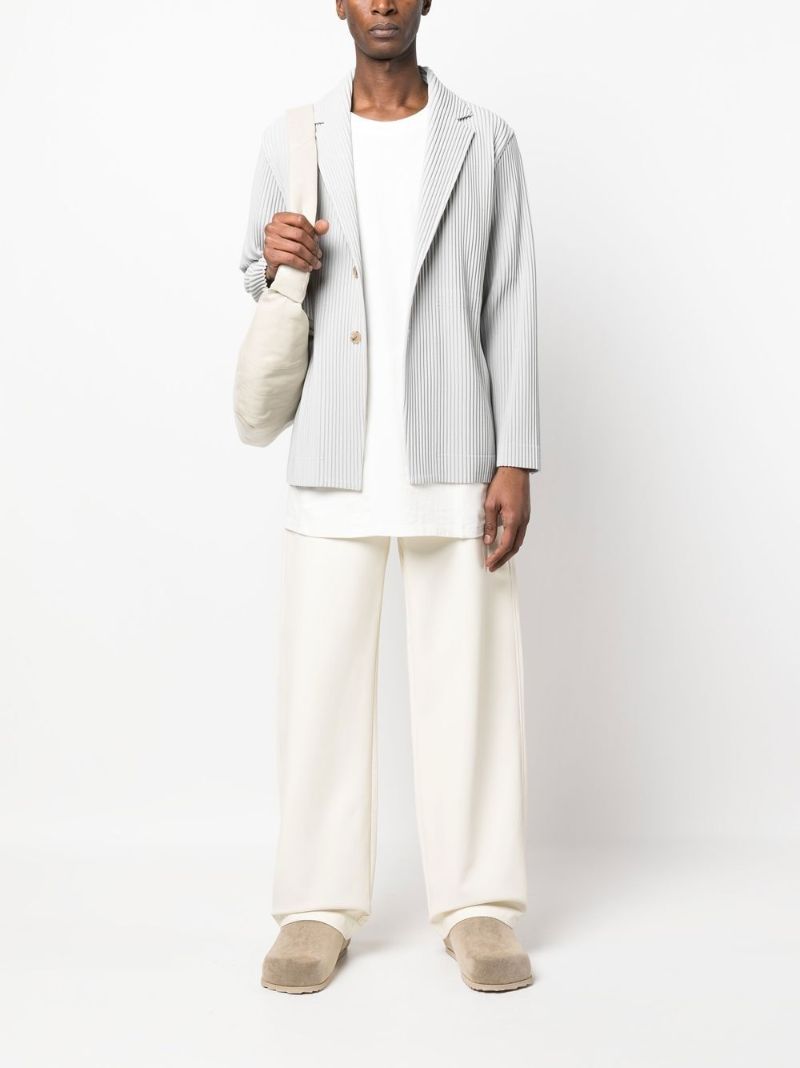 Light Grey Micro Pleated Buttoned Blazer