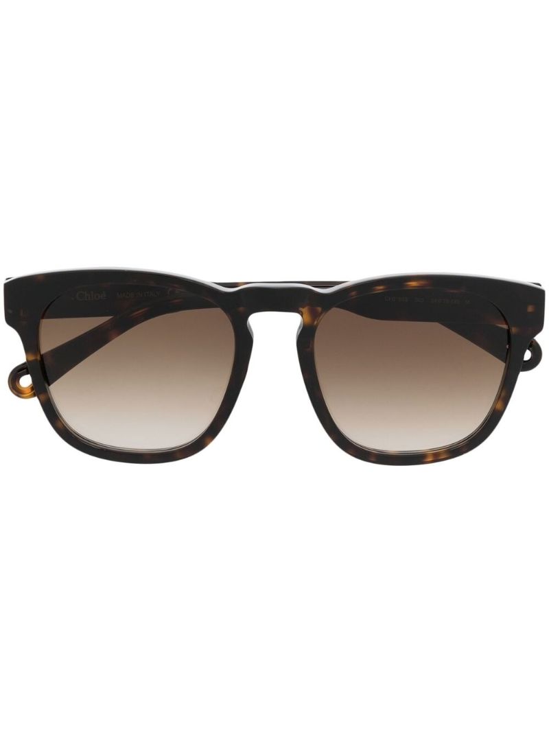 Brown Square Frame Tortoiseshell Sunglasses