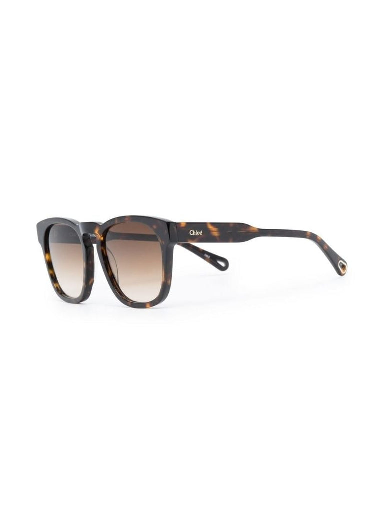 Brown Square Frame Tortoiseshell Sunglasses