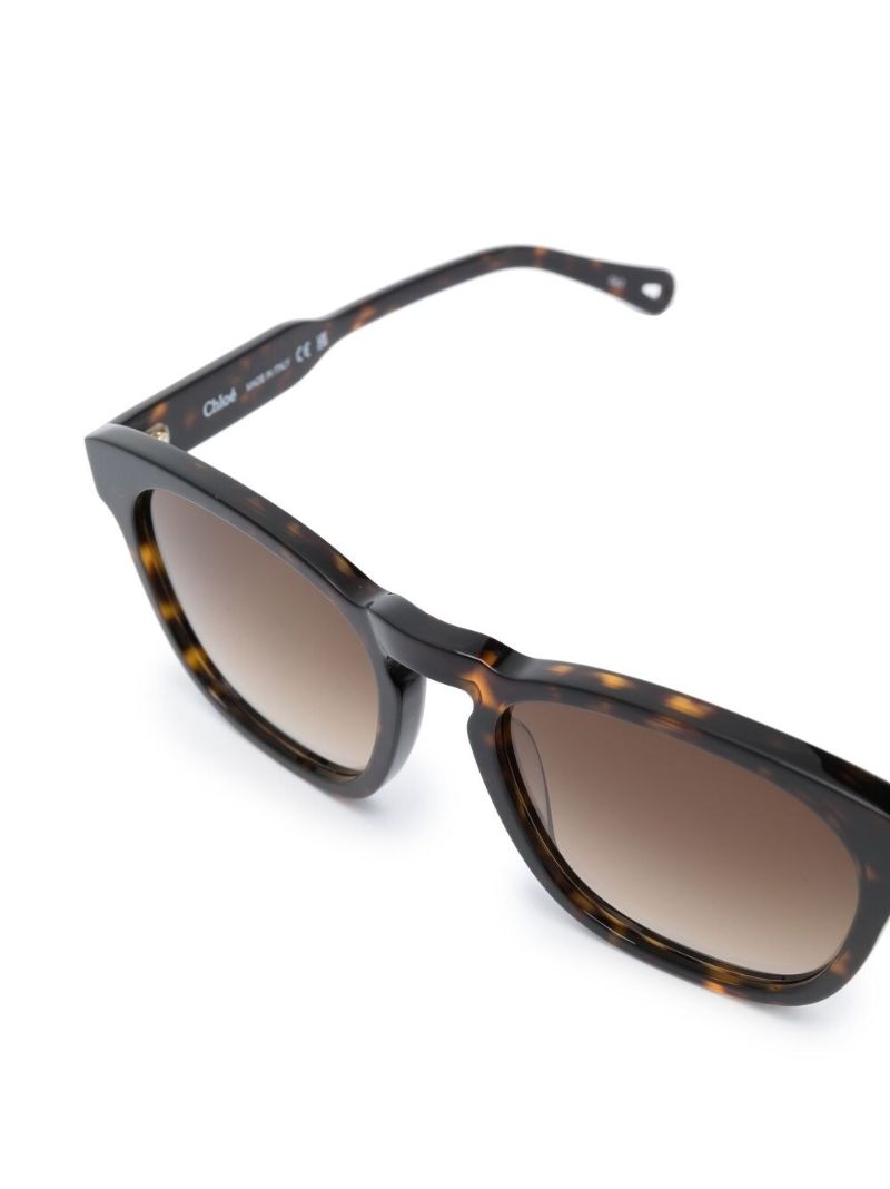 Brown Square Frame Tortoiseshell Sunglasses