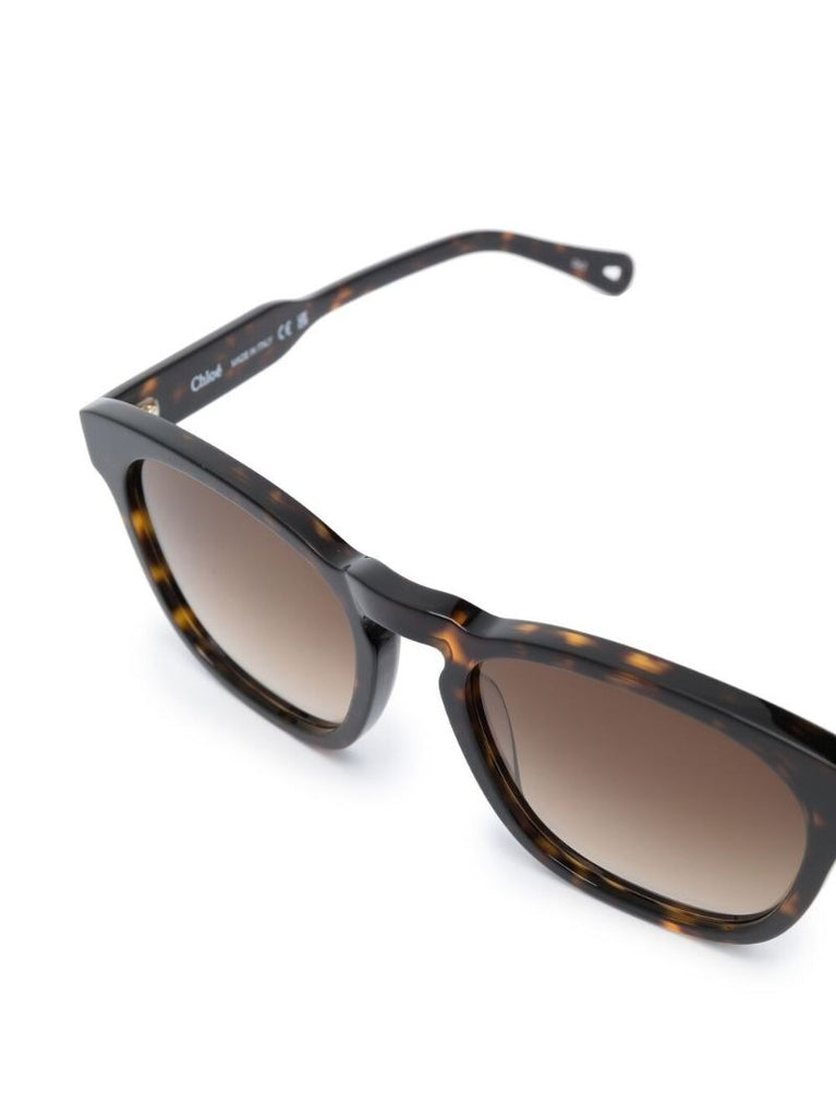 Brown Square Frame Tortoiseshell Sunglasses