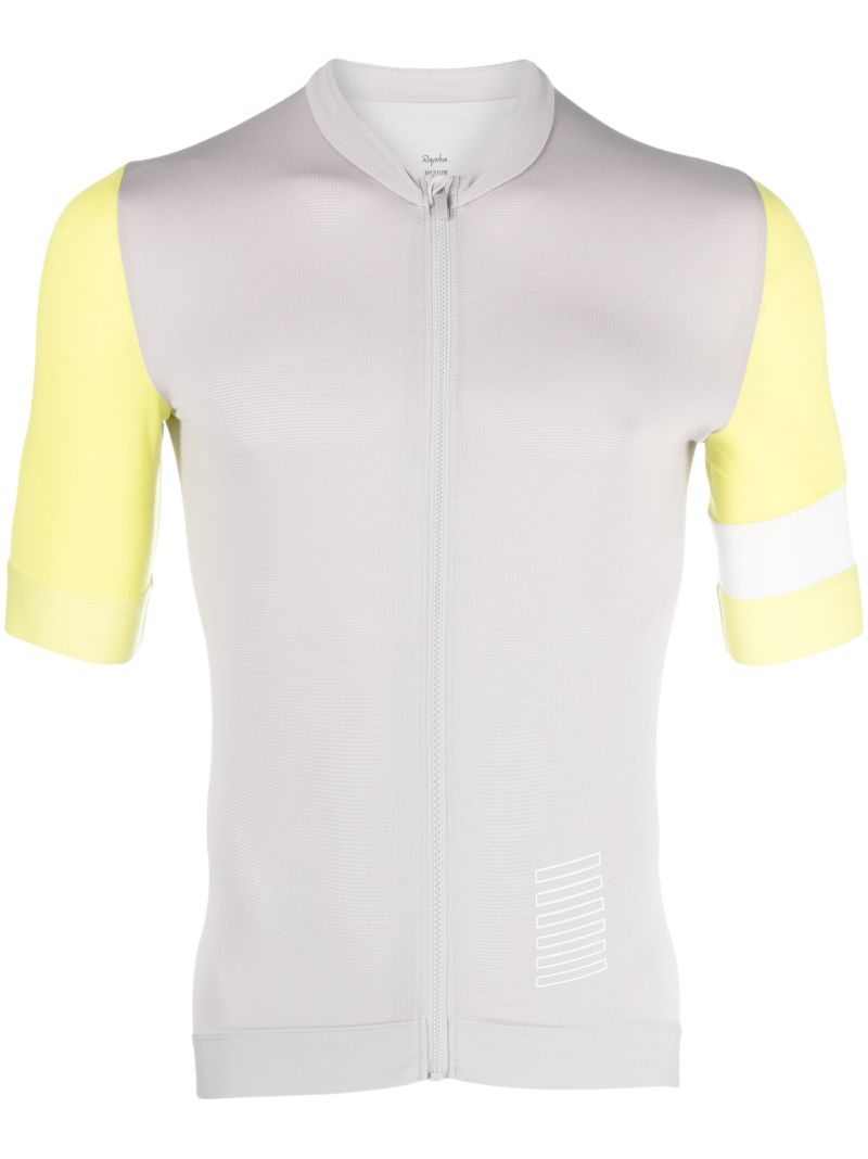 Grey Pro Team Training Jersey