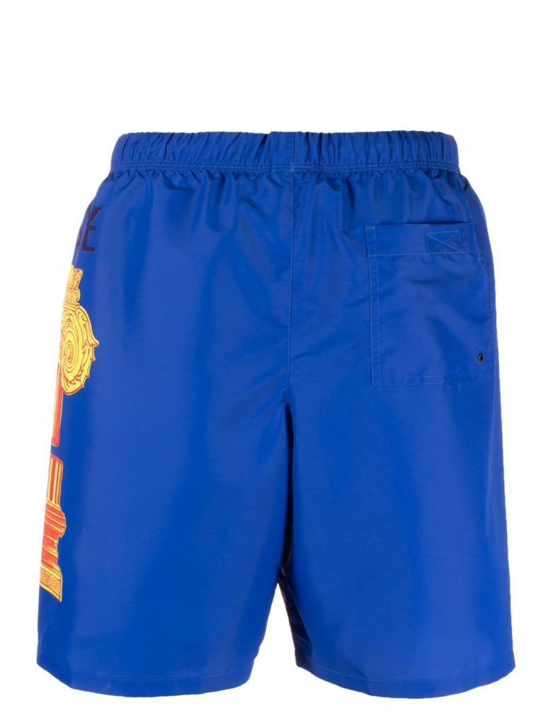 Blue Column Print Swim Shorts