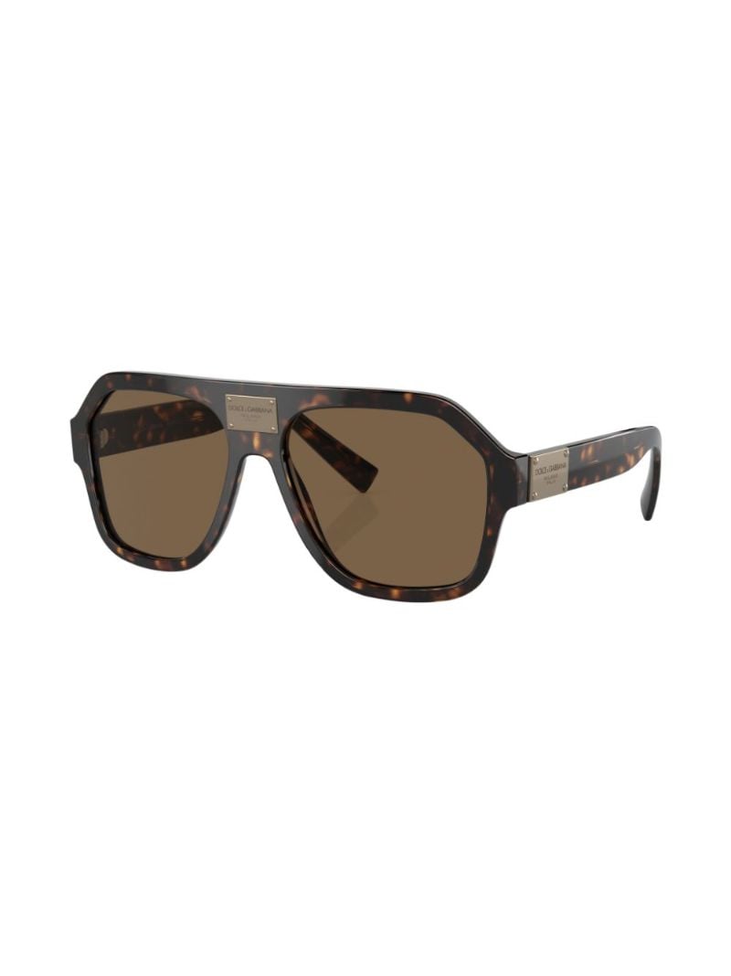 Brown Dg Plaque Pilot Sunglasses