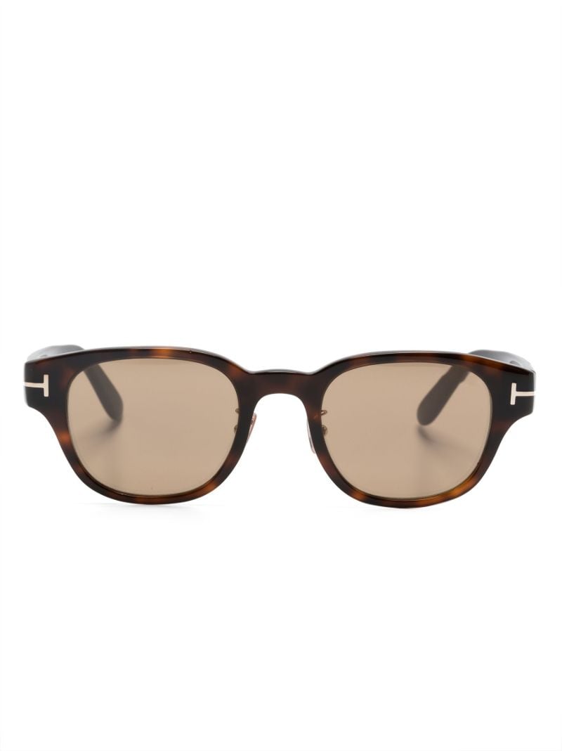 Brown Tortoiseshell Square Sunglasses