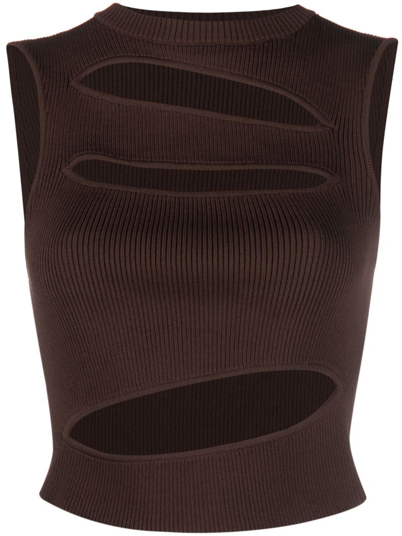 Brown Slashed Knit Crop Top