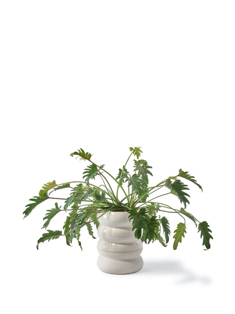 White Chubby Vase