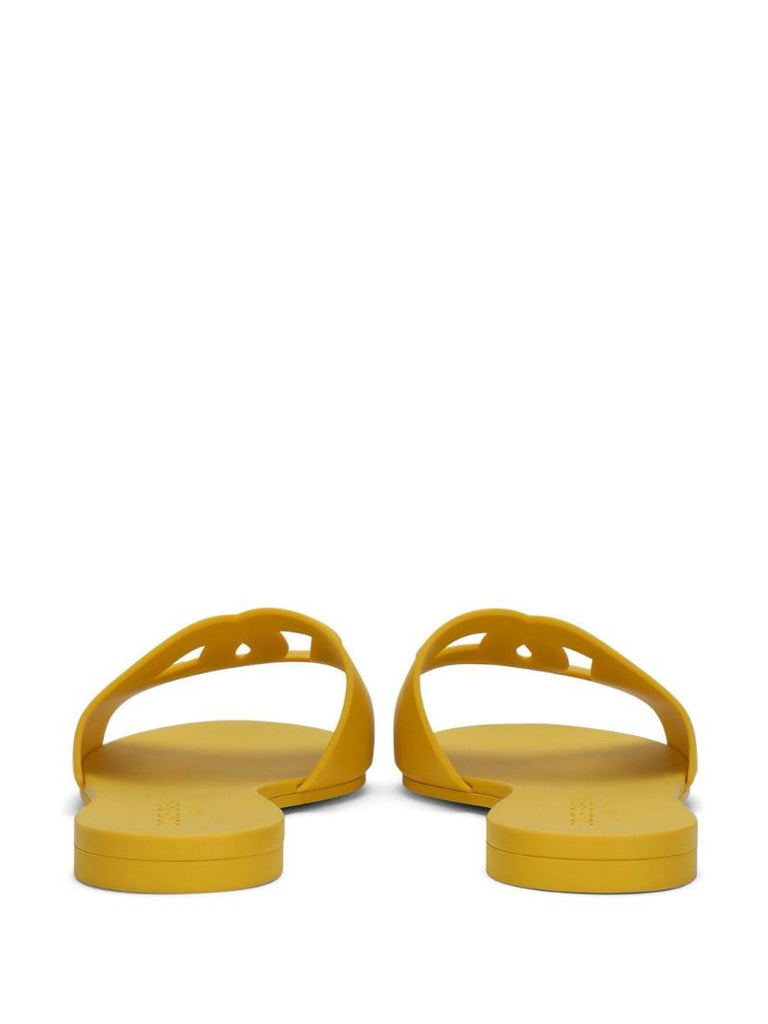 Dg Logo Slides