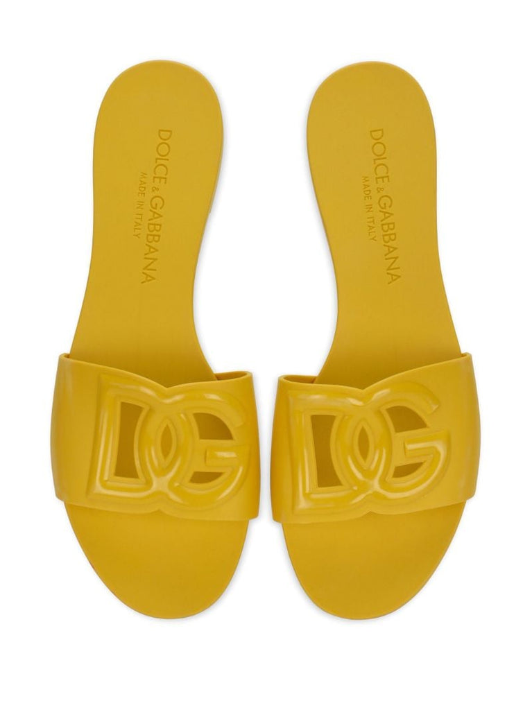 Dg Logo Slides