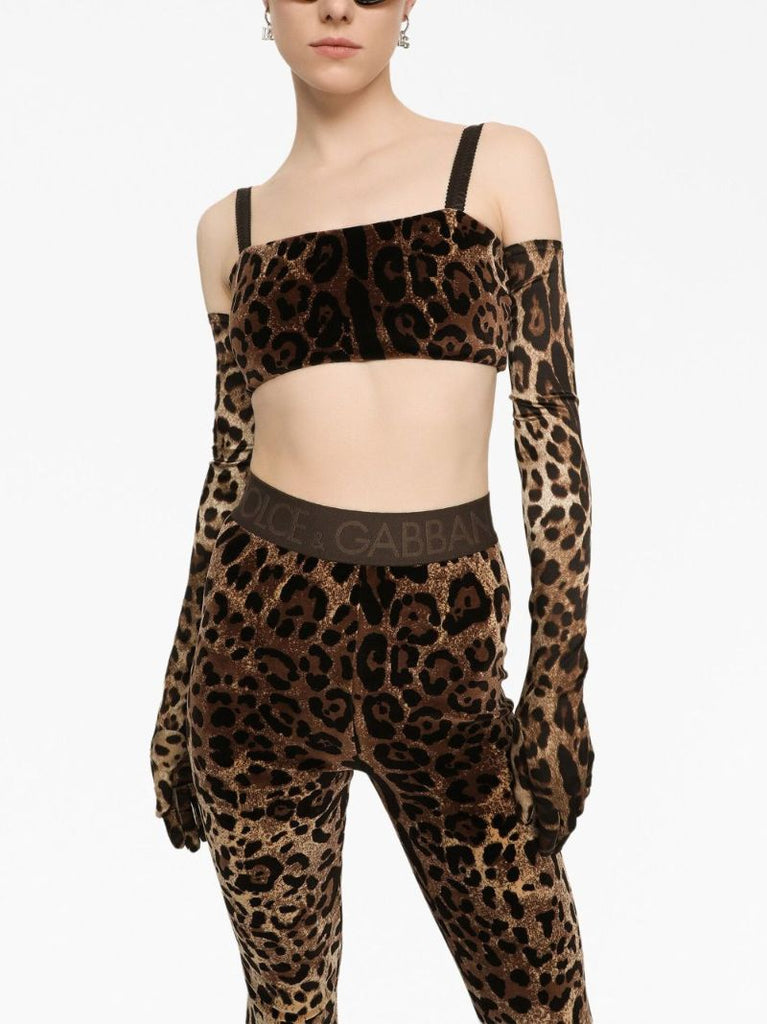 Brown Leopard-jacquard Crop Top