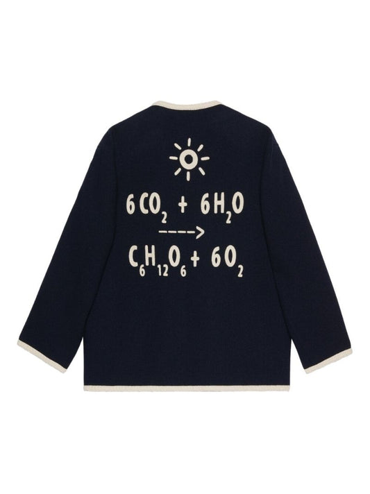 Blue Equation-appliquÃ_x0083_Â© Tweed Jacket