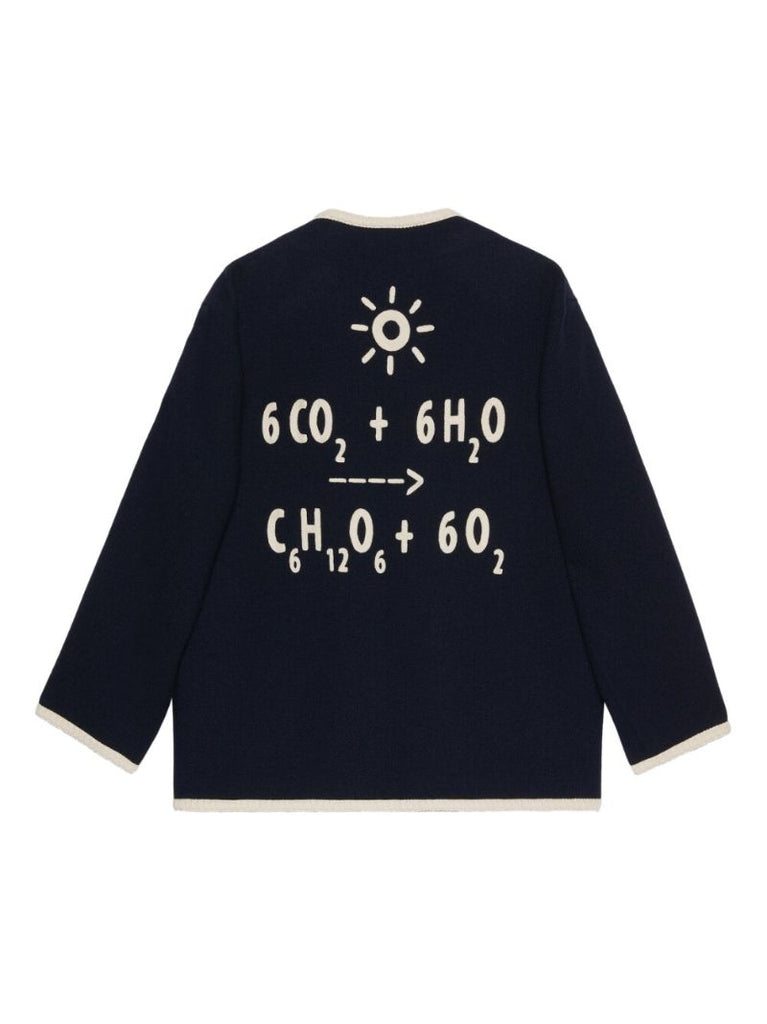 Blue Equation-appliquÃ_x0083_Â© Tweed Jacket