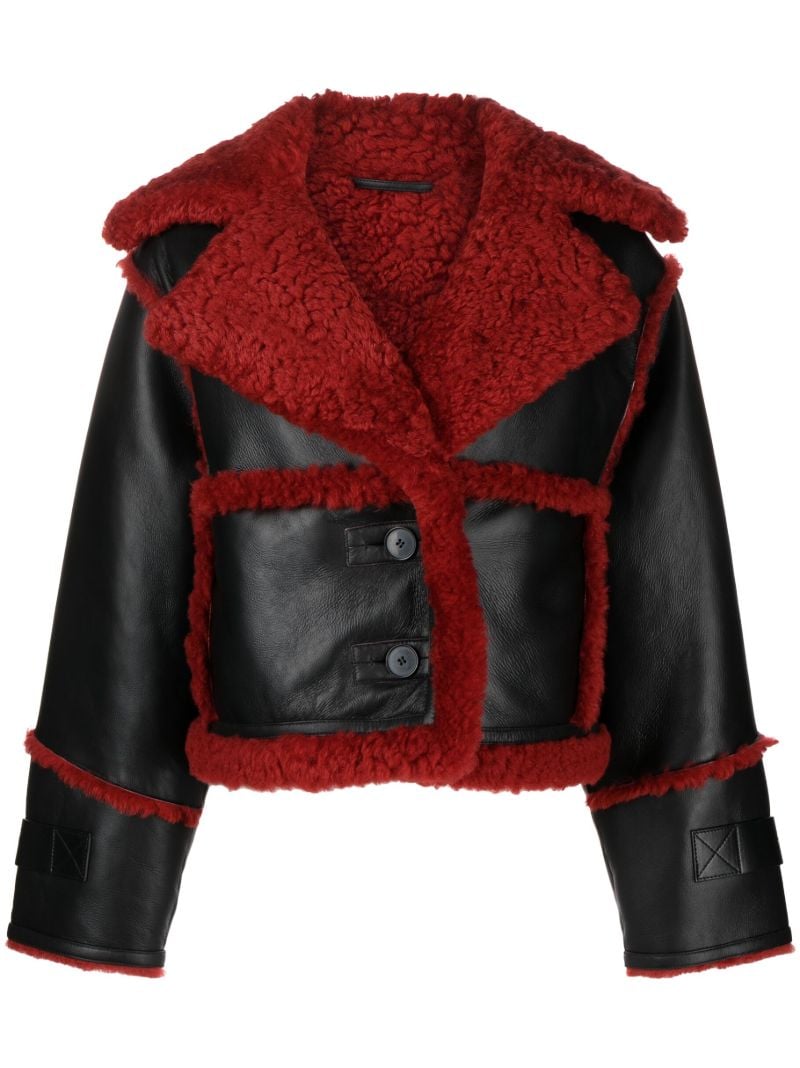 Black Reva Shearling-lined Leather Jacket