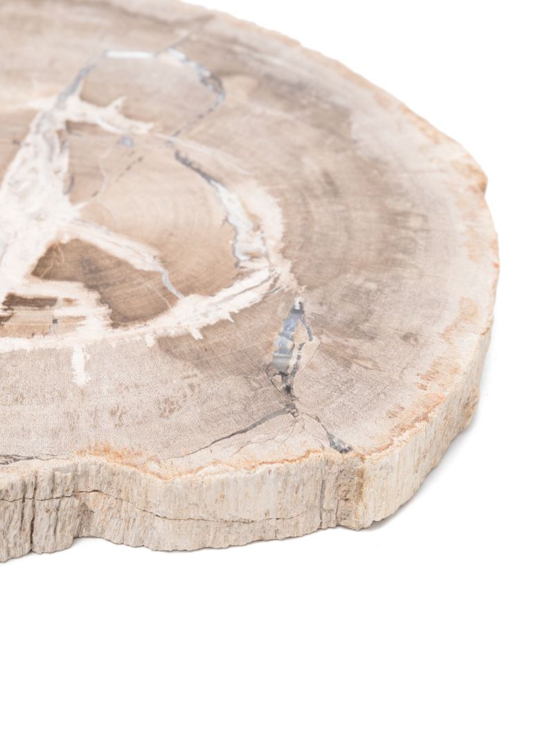 White Balfern Petrified Wood Serveboard