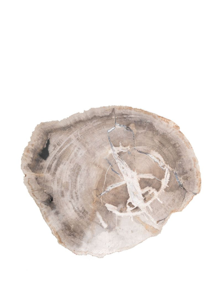 White Balfern Petrified Wood Serveboard