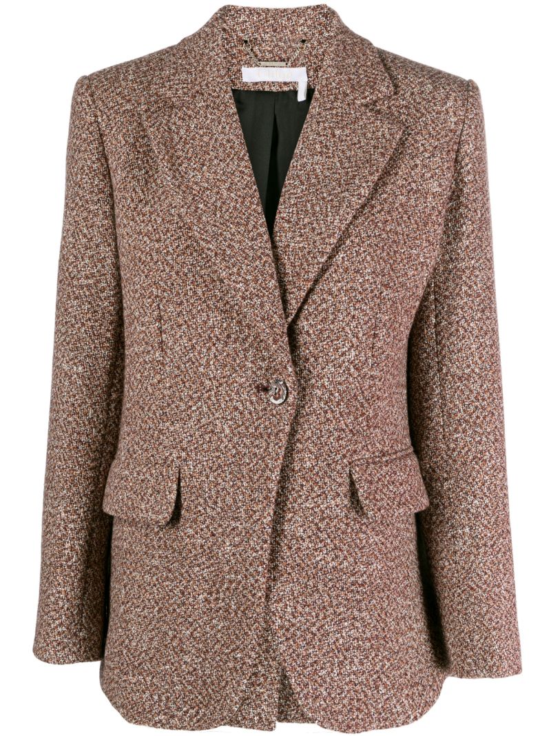 Brown Single-breasted Blazer