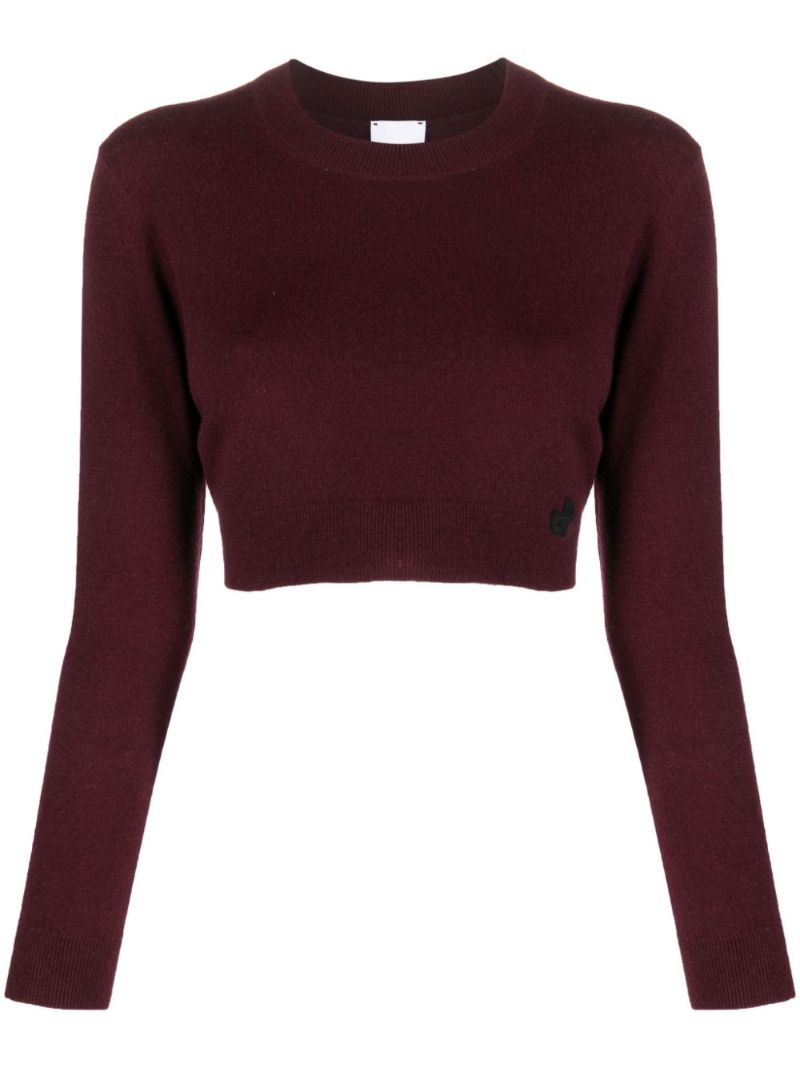 Red Logo-embroidered Cropped Sweater