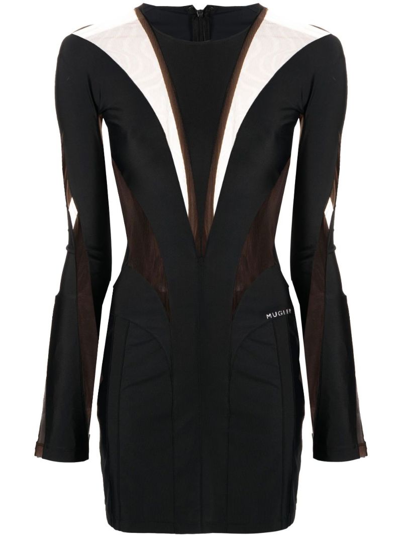 Black Sheer Panelled Mini Dress