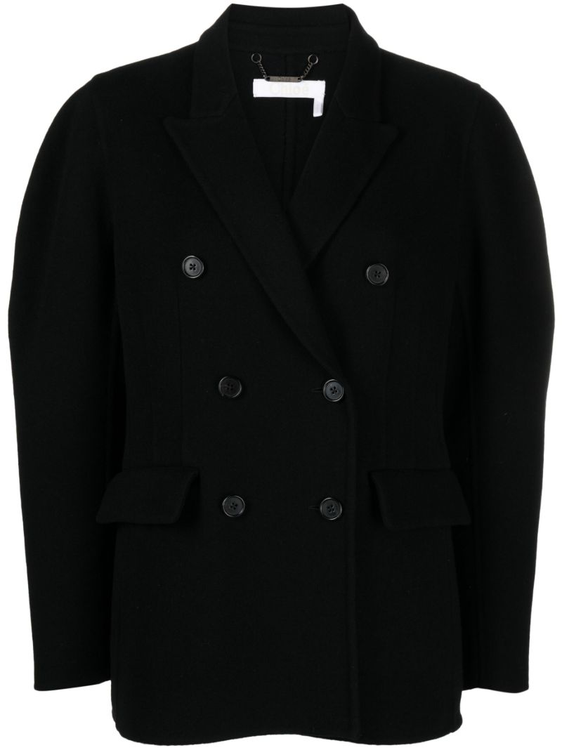 Black Double-breasted Wool-cashmere Blazer