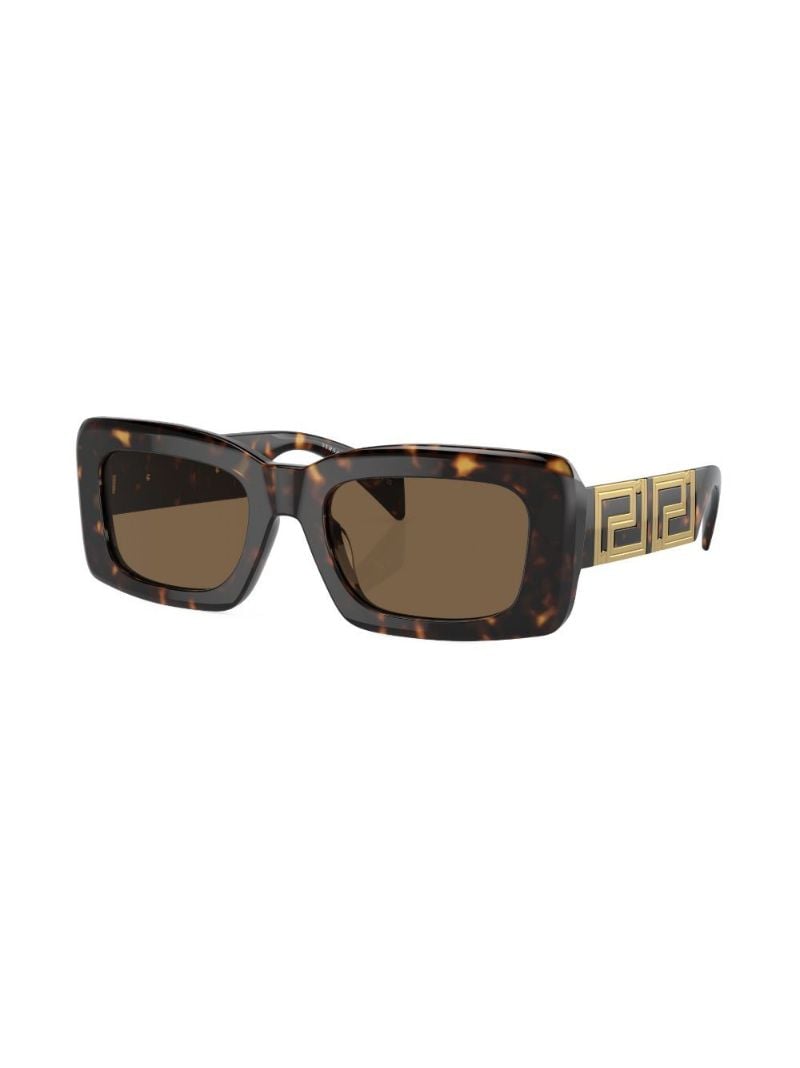 Brown Tortoiseshell Square Sunglasses