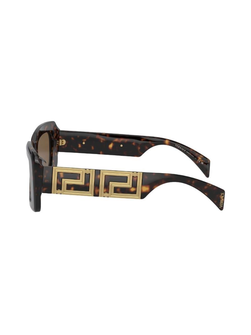 Brown Tortoiseshell Square Sunglasses
