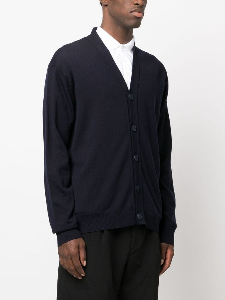 Blue Lucas Merino Wool Cardigan