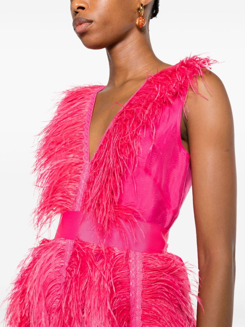 Pink Irina Feather-embellished Silk Gown