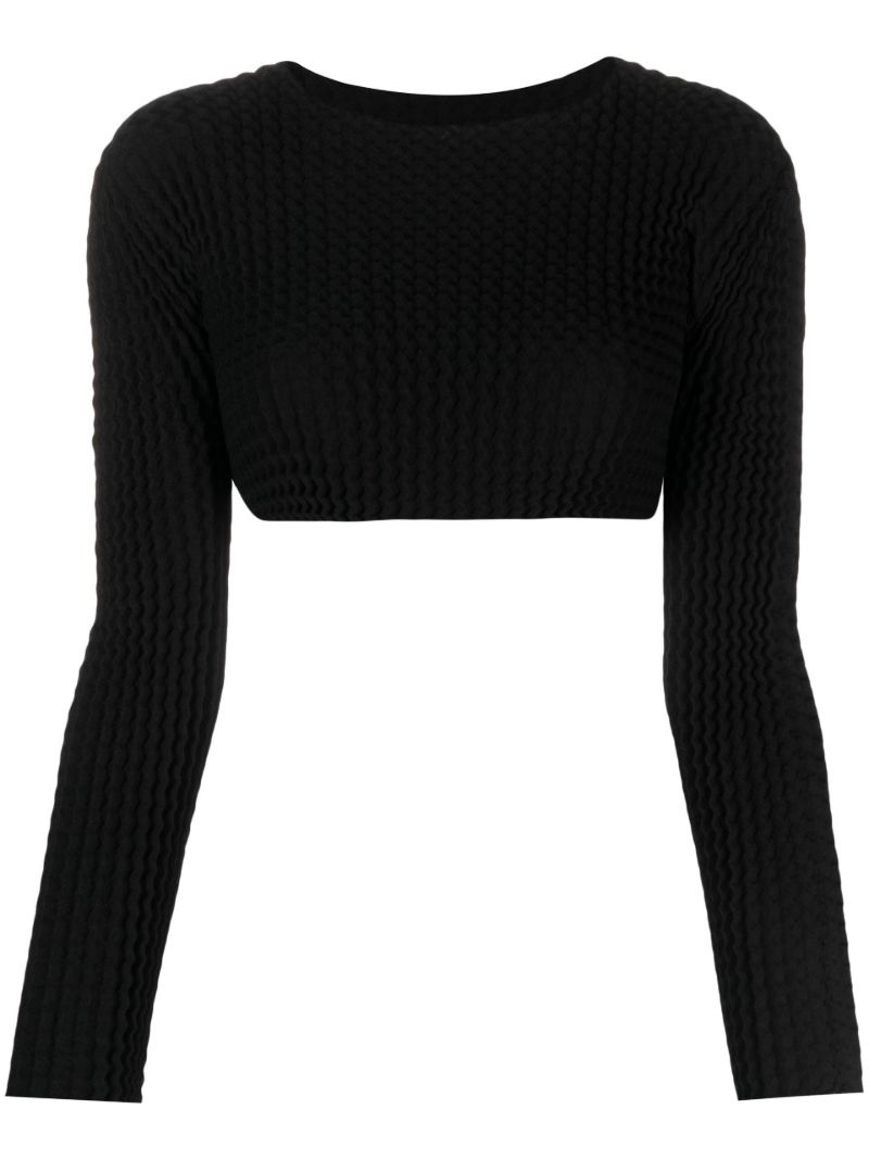 Black Spongy PlissÃ_x0083_Â© Crop Top