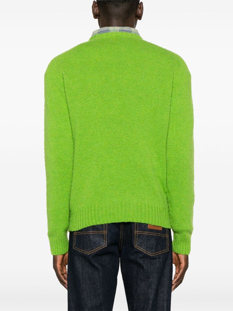 Green Shetland Wool Sweater