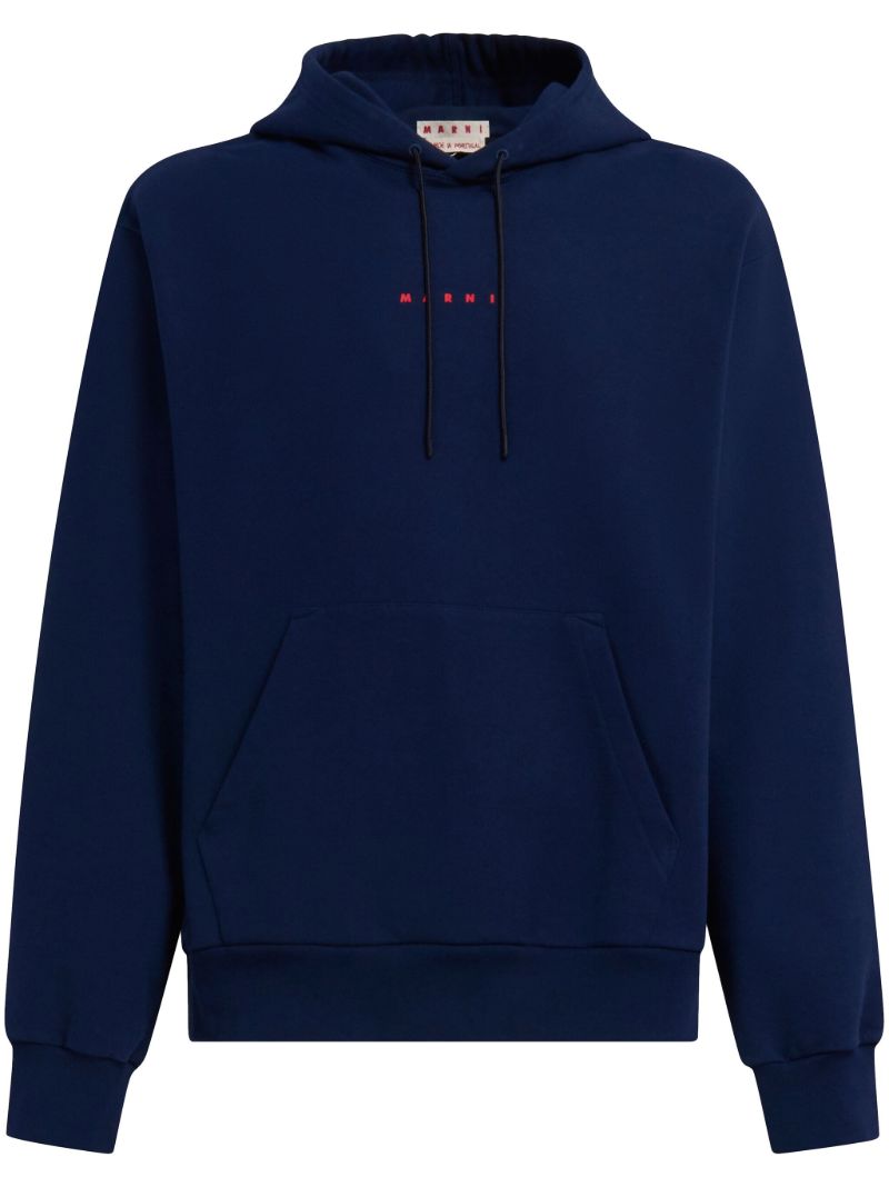 Blue Logo-print Cotton Hoodie