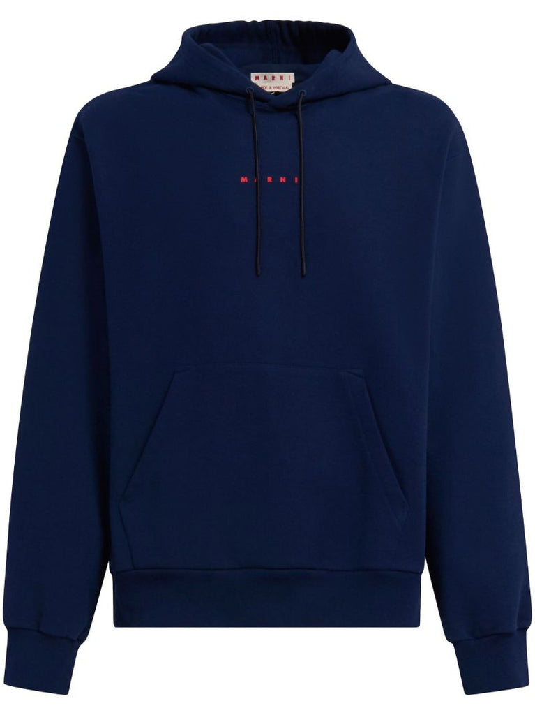 Blue Logo-print Cotton Hoodie