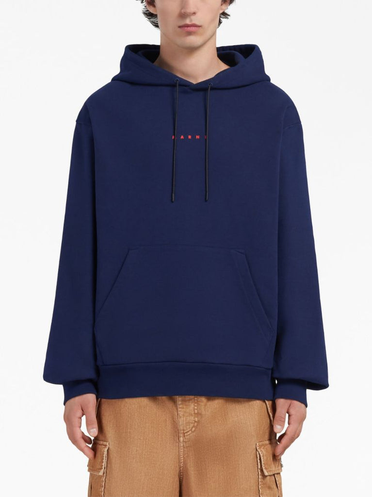 Blue Logo-print Cotton Hoodie